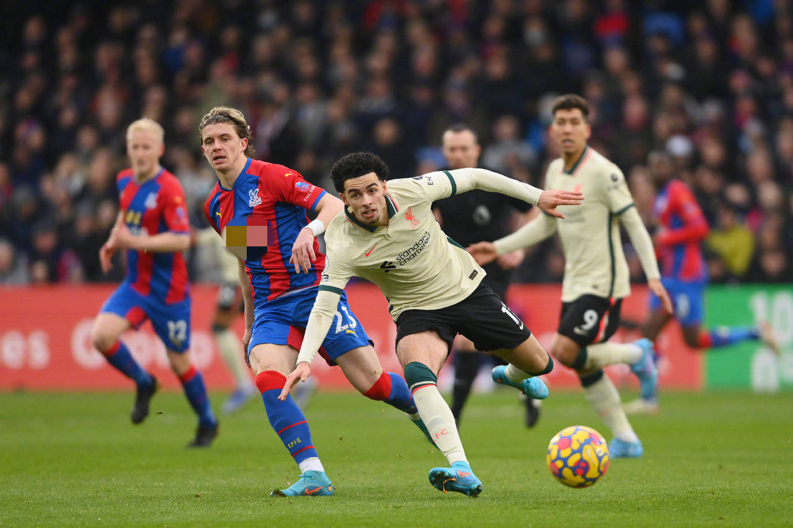 可能是其参 可能是其参