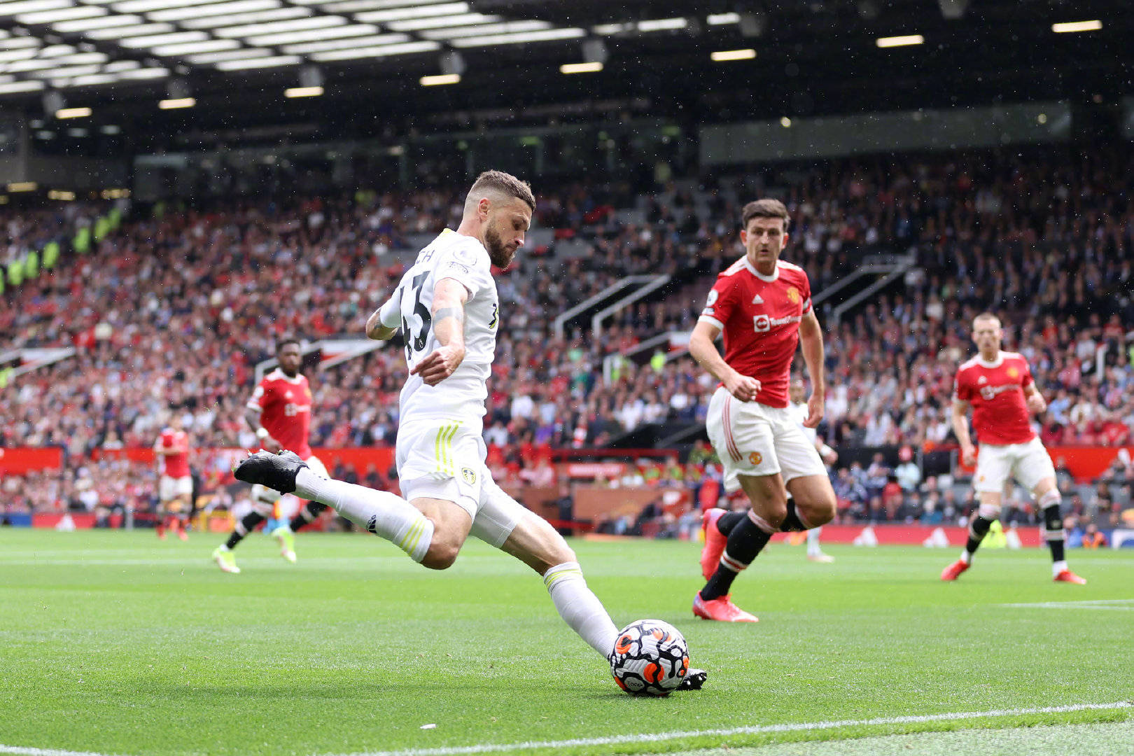 伊万决定采 伊万决定采